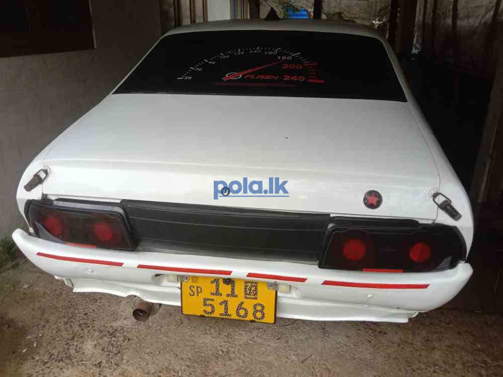 Nissan dutsun violet - photo 11