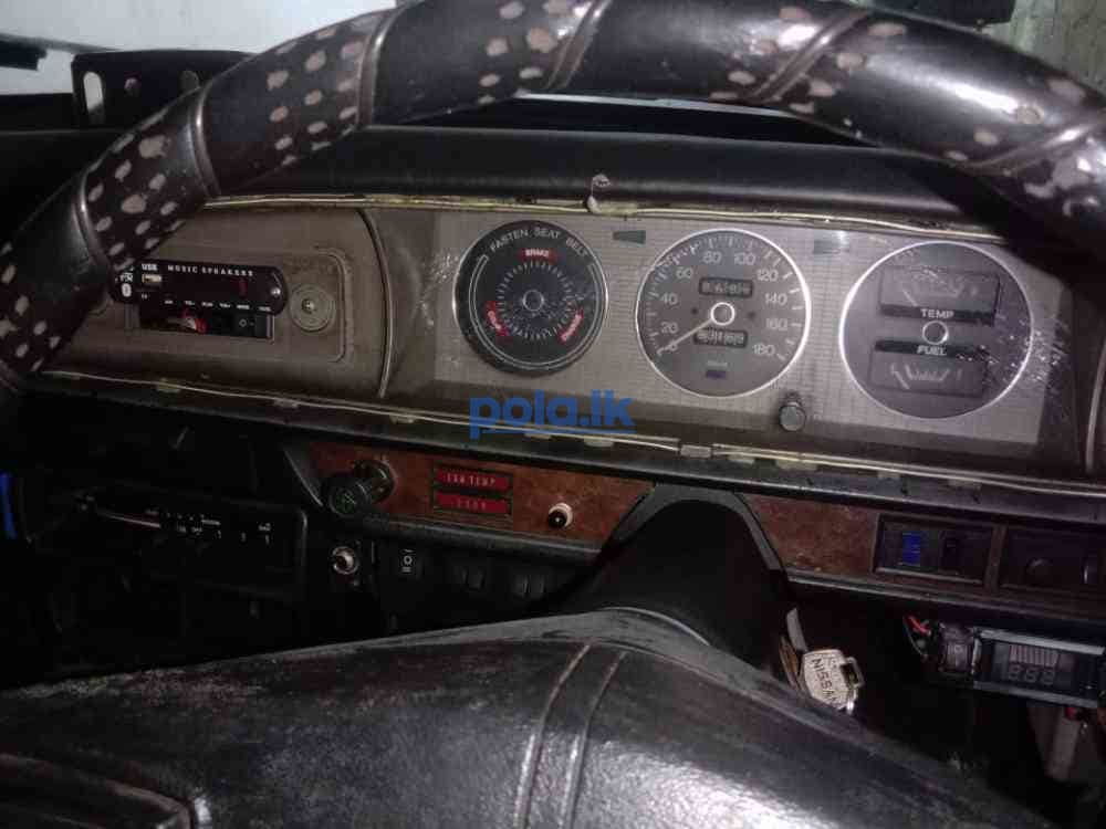 Nissan dutsun violet - photo 6