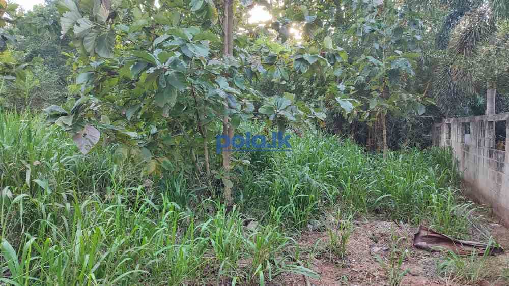 Highly residential land in anuradhapura city - photo 2
