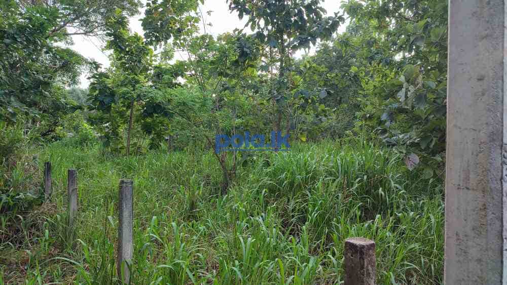 Highly residential land in anuradhapura city - photo 4
