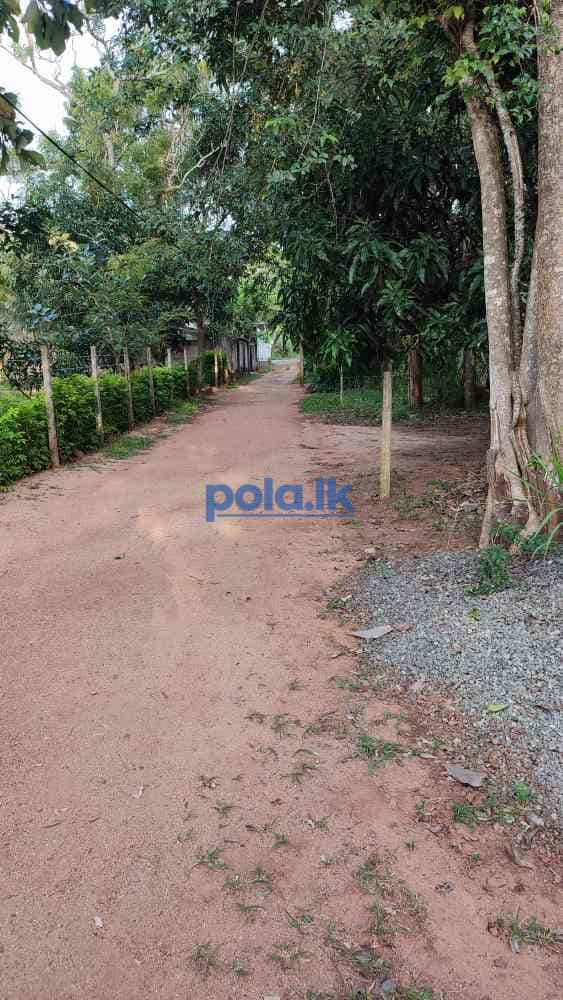 Highly residential land in anuradhapura city - photo 5