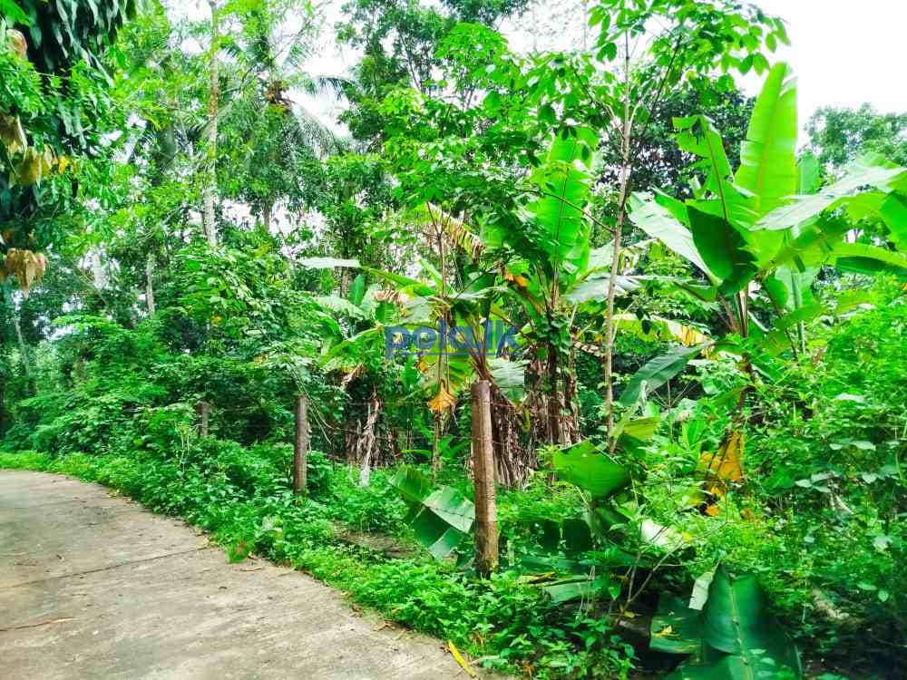 Land for sale in horana owitiyagala - photo 1