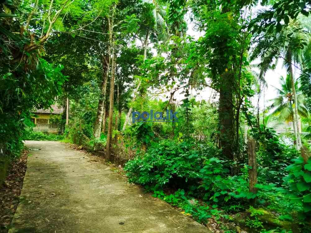 Land for sale in horana owitiyagala - photo 12