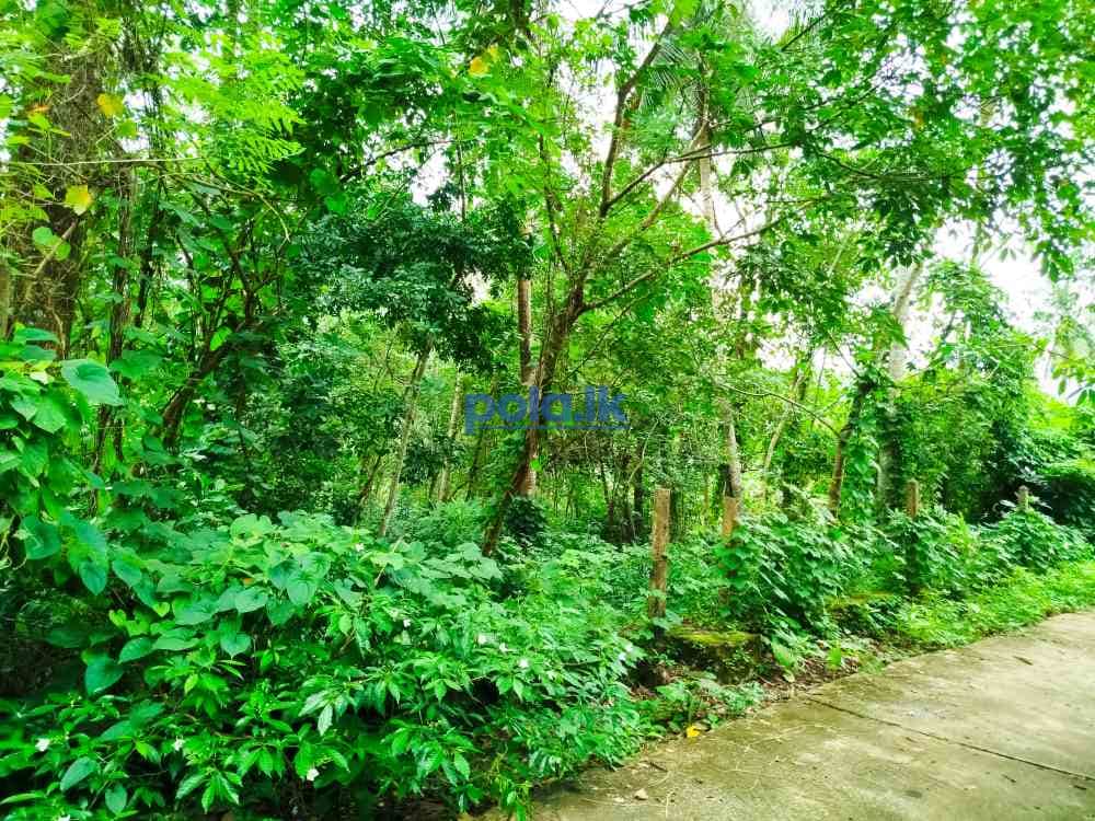 Land for sale in horana owitiyagala - photo 7