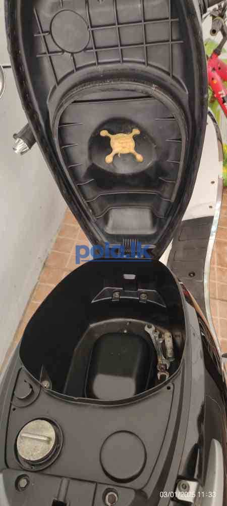 Demark transtar 125 - photo 7