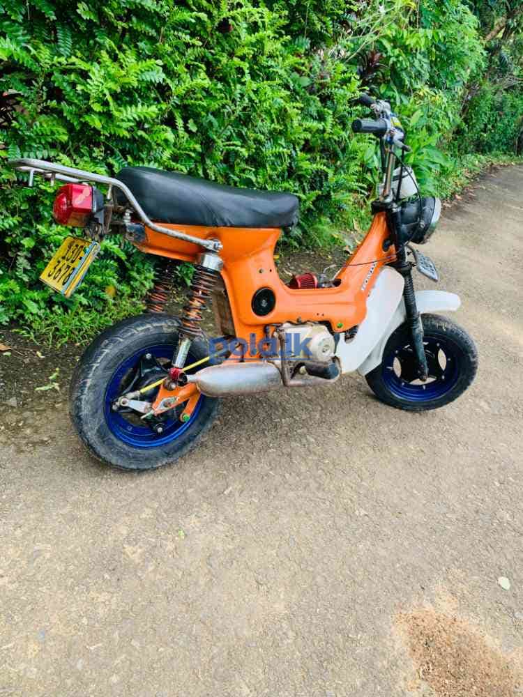 Honda chaly - photo 6