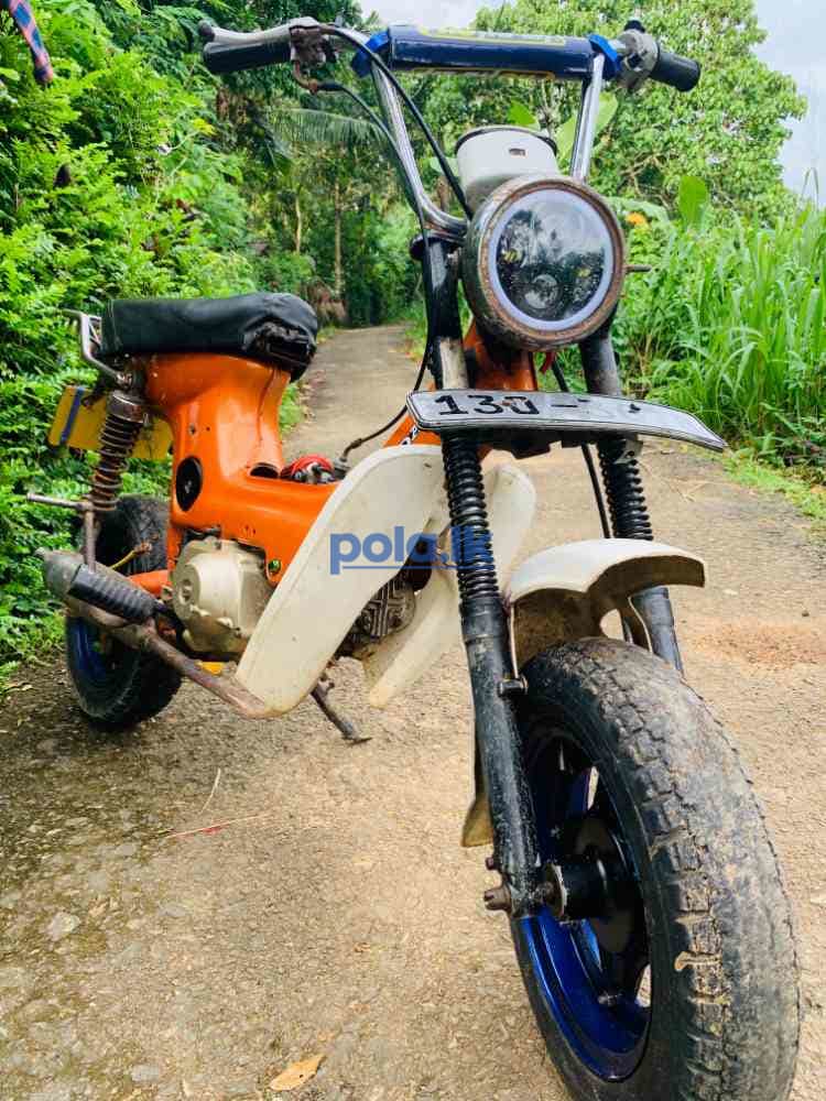 Honda chaly - photo 5
