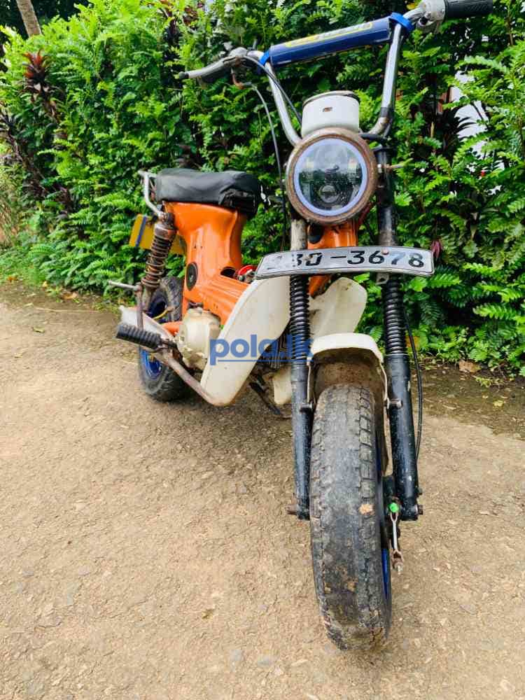 Honda chaly - photo 3