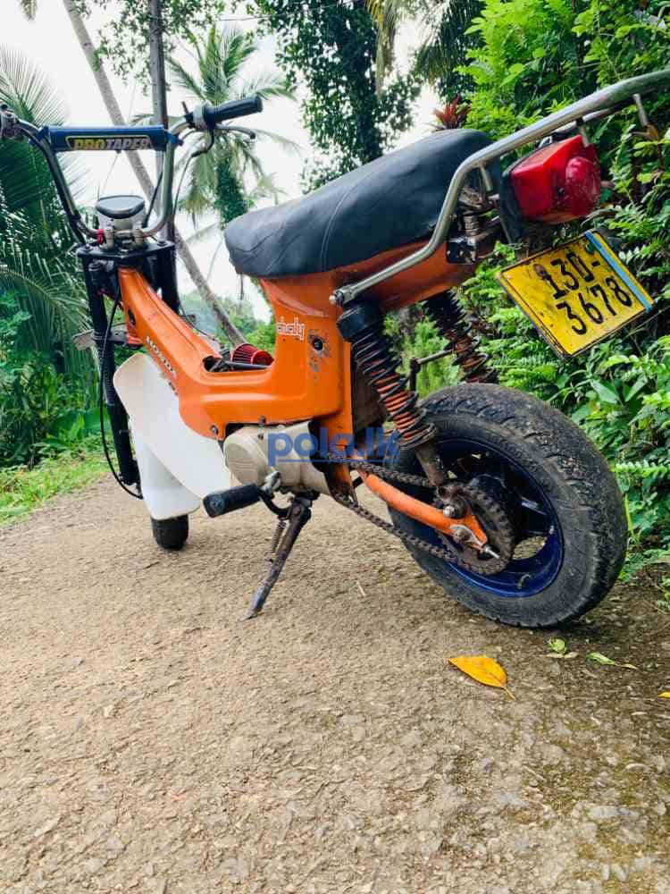 Honda chaly - photo 8