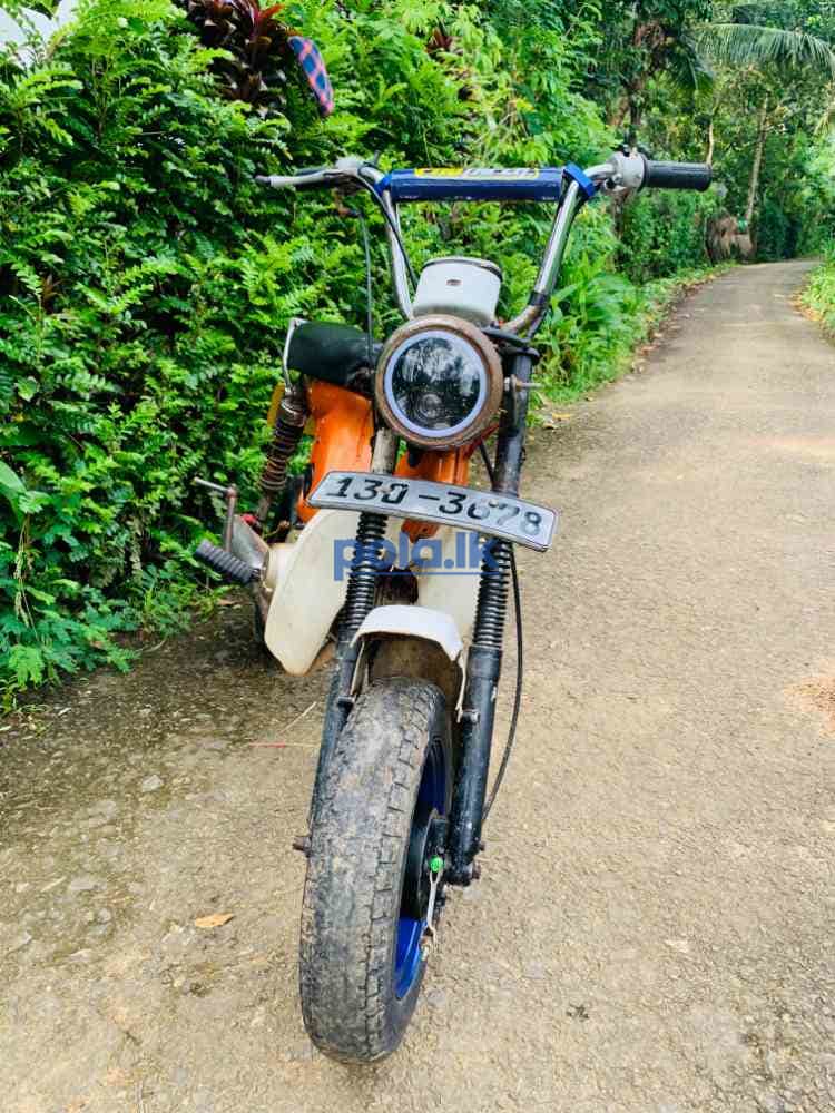 Honda chaly - photo 7