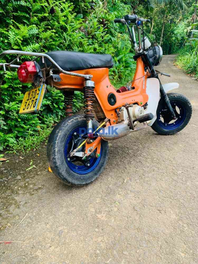 Honda chaly - photo 4