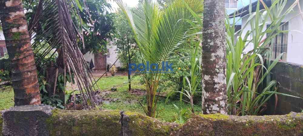 Land for sale in maharagama - photo 3