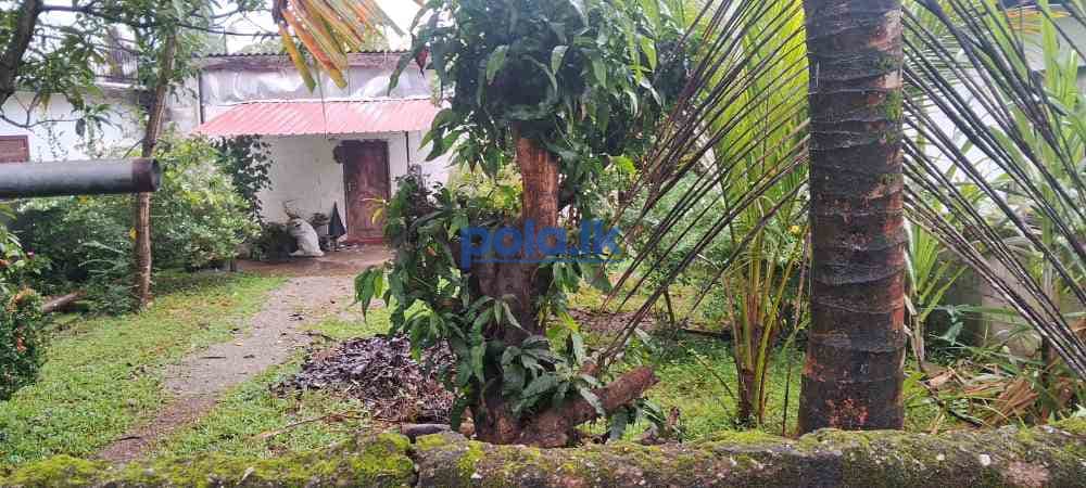 Land for sale in maharagama - photo 5