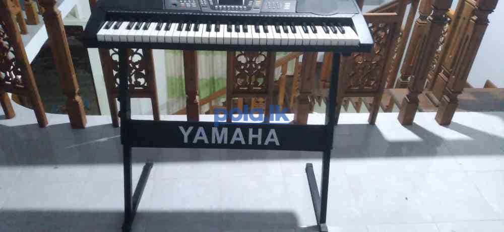 Olan 61 key organ - photo 4