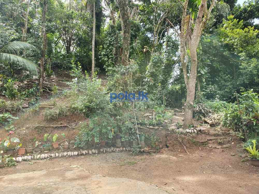 Land with house for sale in nugawela kandy - photo 4