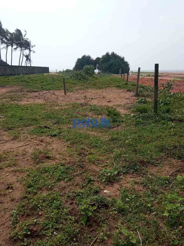Land for sale near to blue water hotel wadduwa - photo 2