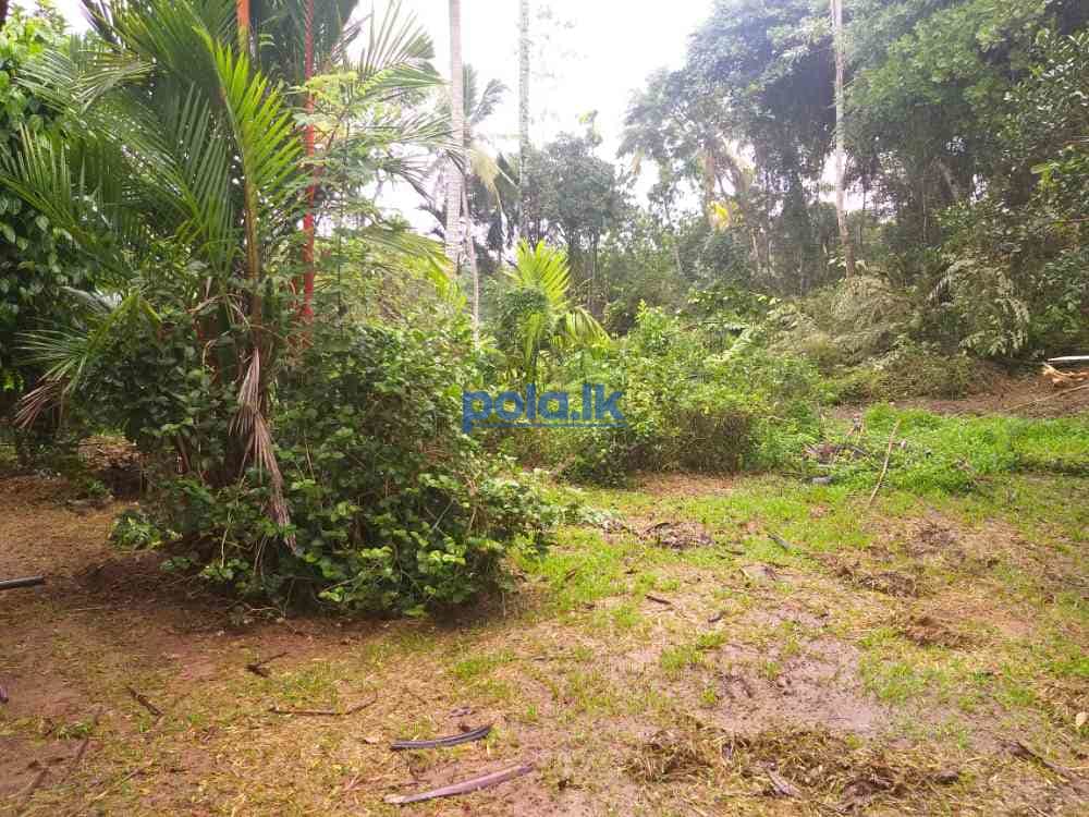 Land for sale in kamburugamuwa - photo 3