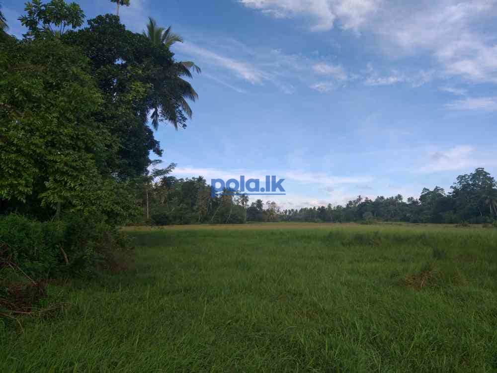 Land for sale in kamburugamuwa - photo 4