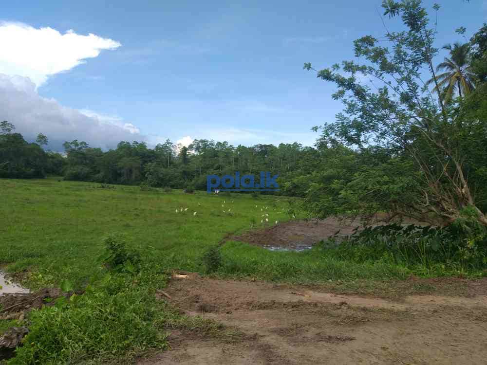 Land for sale in kamburugamuwa - photo 2