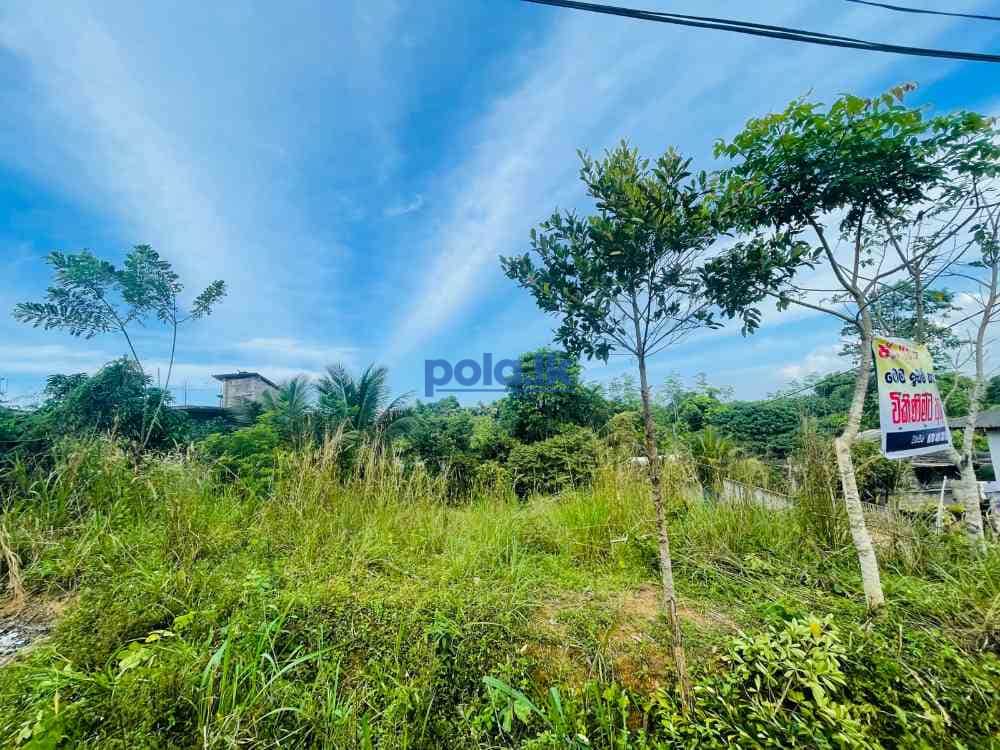 Land for sale In ambalangoda - photo 5