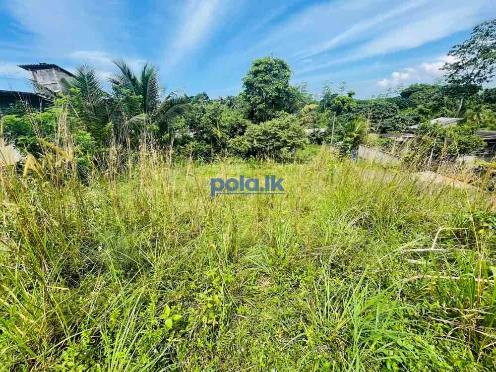 Land for sale In ambalangoda - photo 3