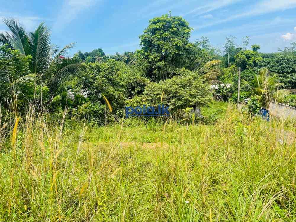 Land for sale In ambalangoda - photo 2