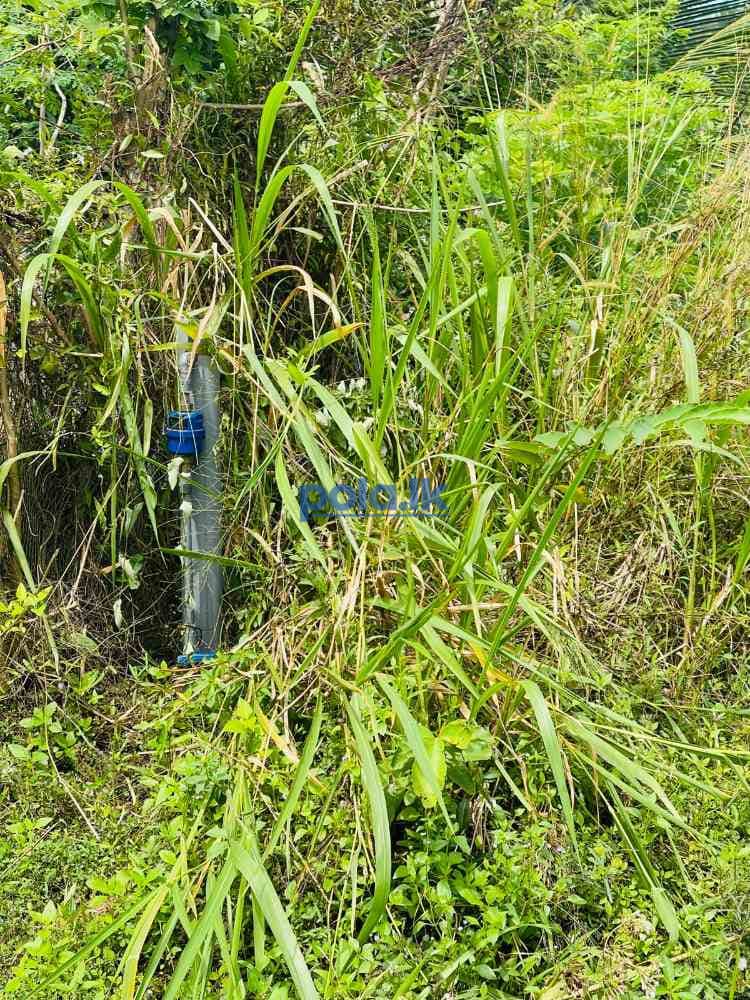 Land for sale In ambalangoda - photo 4