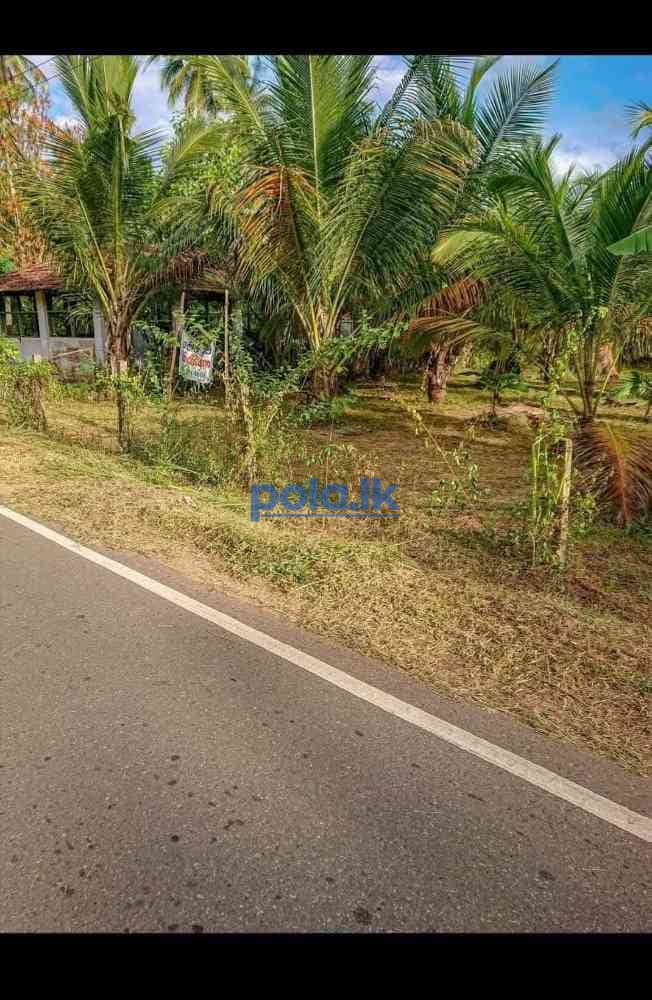 Land for sale in ibbagamuwa - photo 3