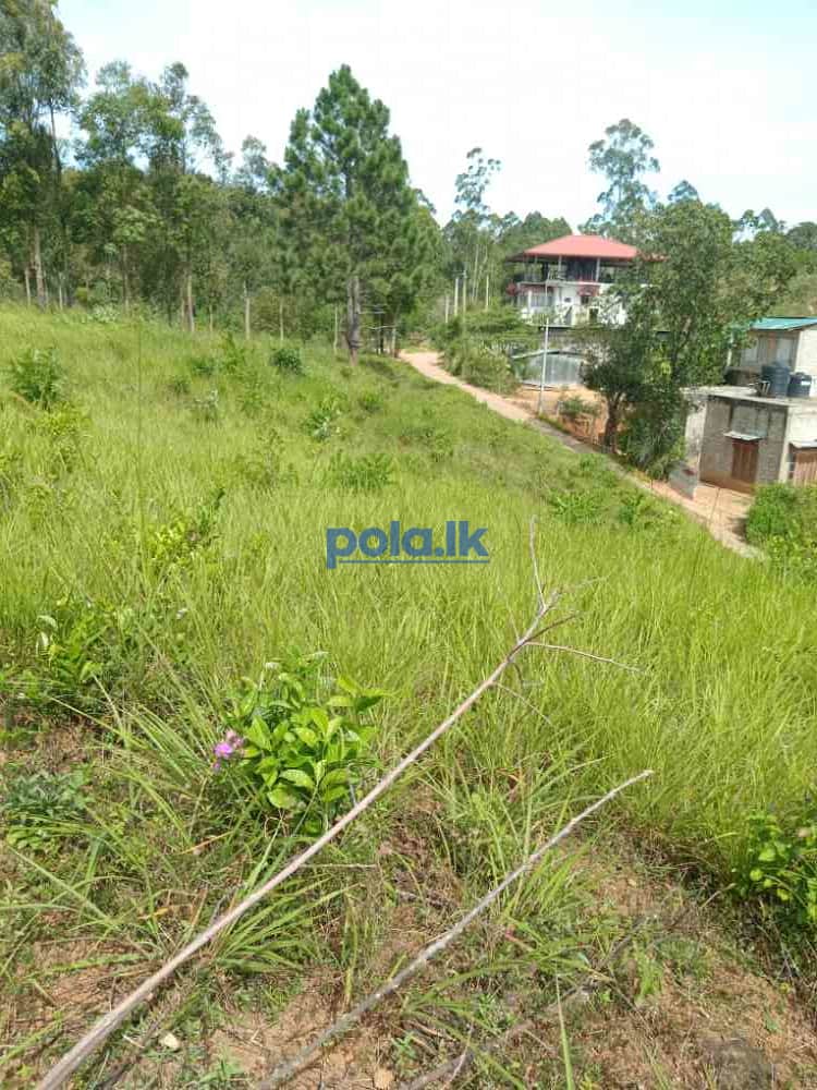 Land for sale in welimada - photo 1