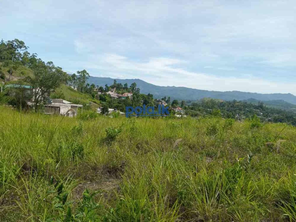 Land for sale in welimada - photo 3
