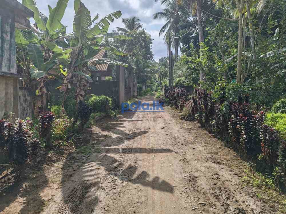 Waterfront land for sale in pinnawala tourist area - photo 7