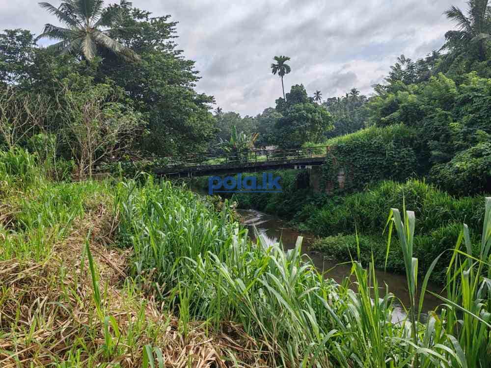 Waterfront land for sale in pinnawala tourist area - photo 5