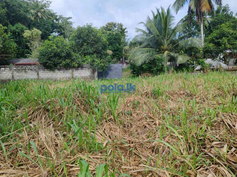 Waterfront land for sale in pinnawala tourist area - photo 4