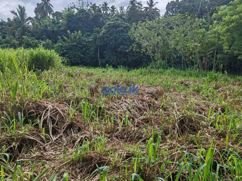 Waterfront land for sale in pinnawala tourist area - photo 3