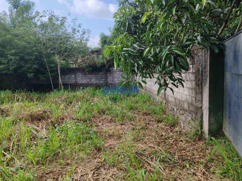 Waterfront land for sale in pinnawala tourist area - photo 2