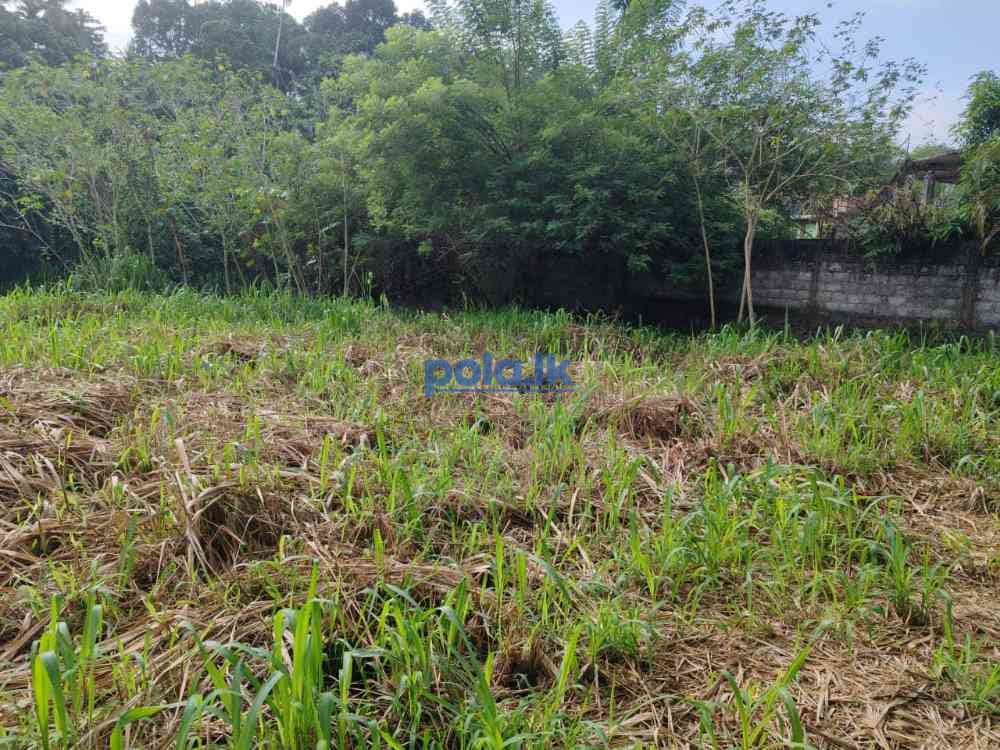 Waterfront land for sale in pinnawala tourist area - photo 1