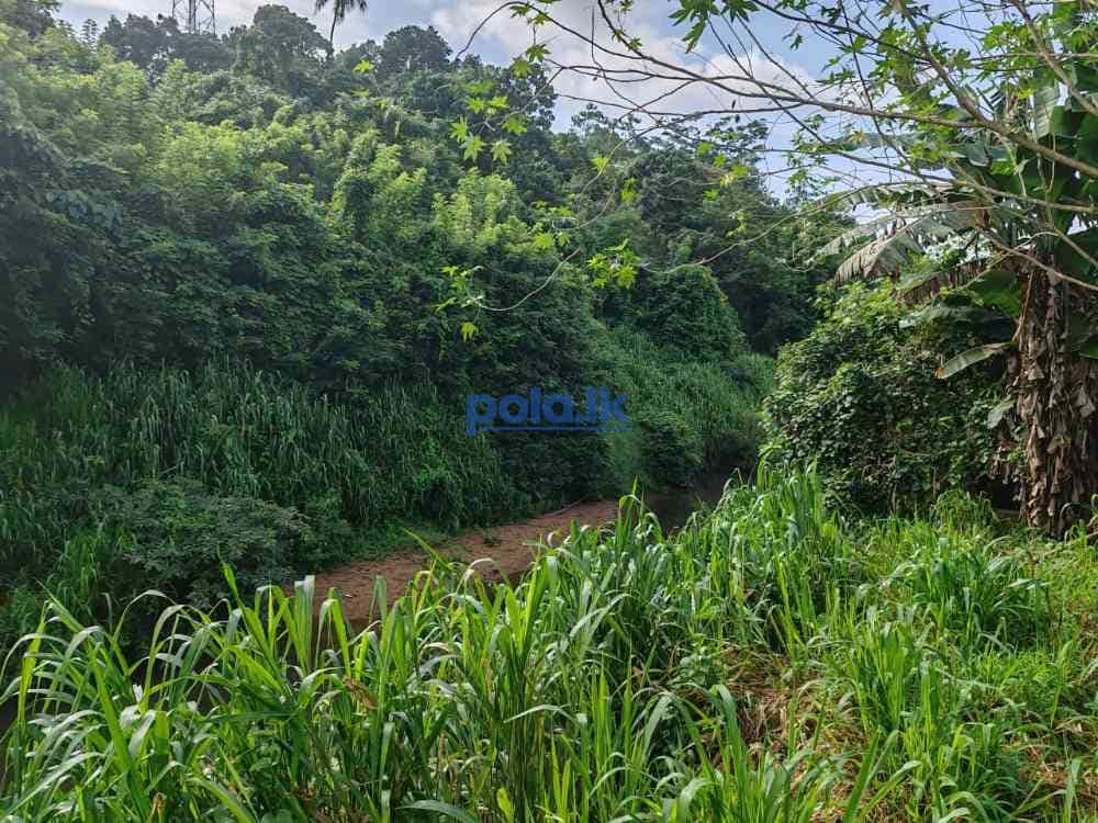 Waterfront land for sale in pinnawala tourist area - photo 6