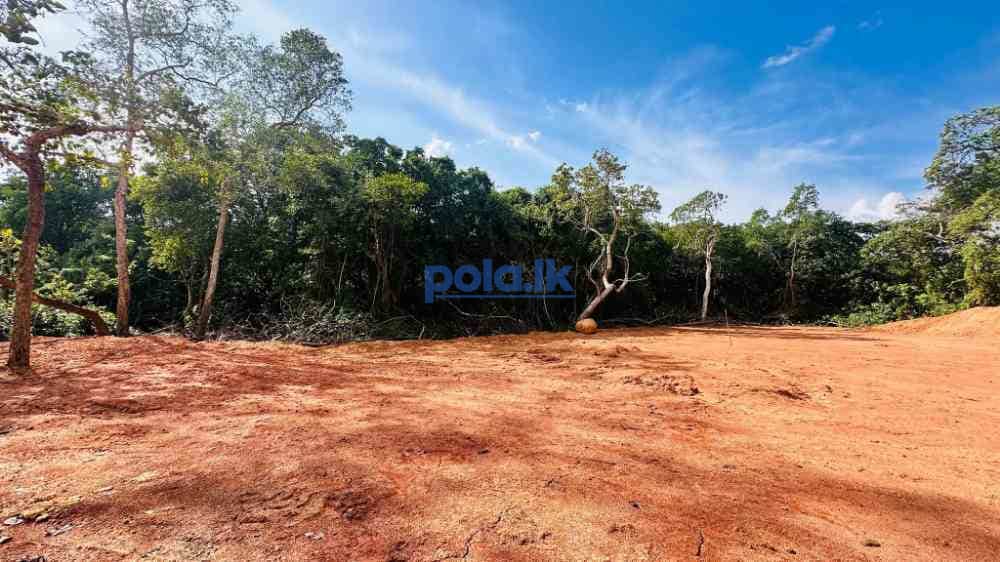 Valuable land for sale hikkaduwa tourist zone - photo 1