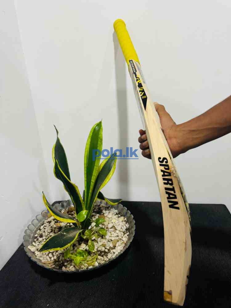 Softball cricket bat - photo 2