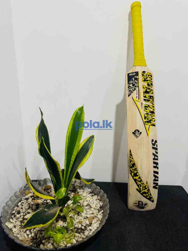 Softball cricket bat - photo 1