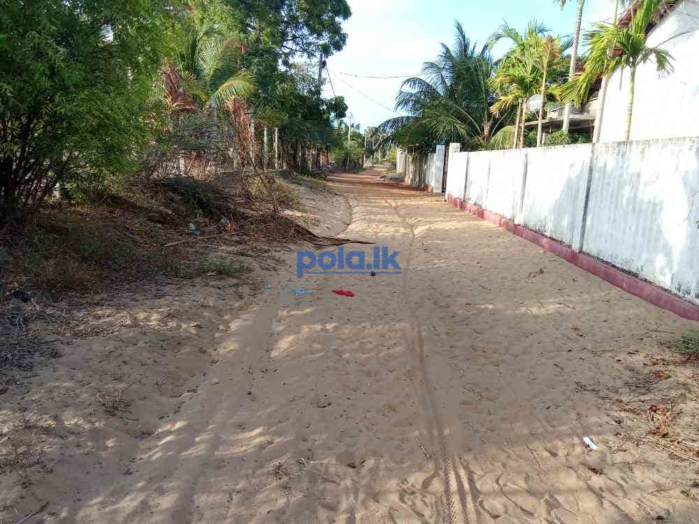 House for sale in mannar - photo 3