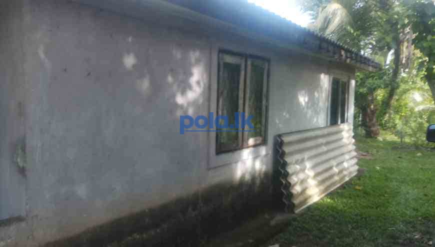Land for sale in pannipitiya - photo 3
