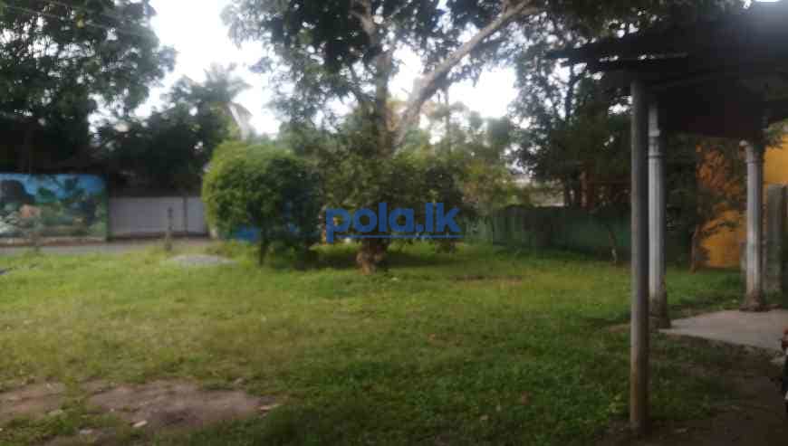 Land for sale in pannipitiya - photo 2