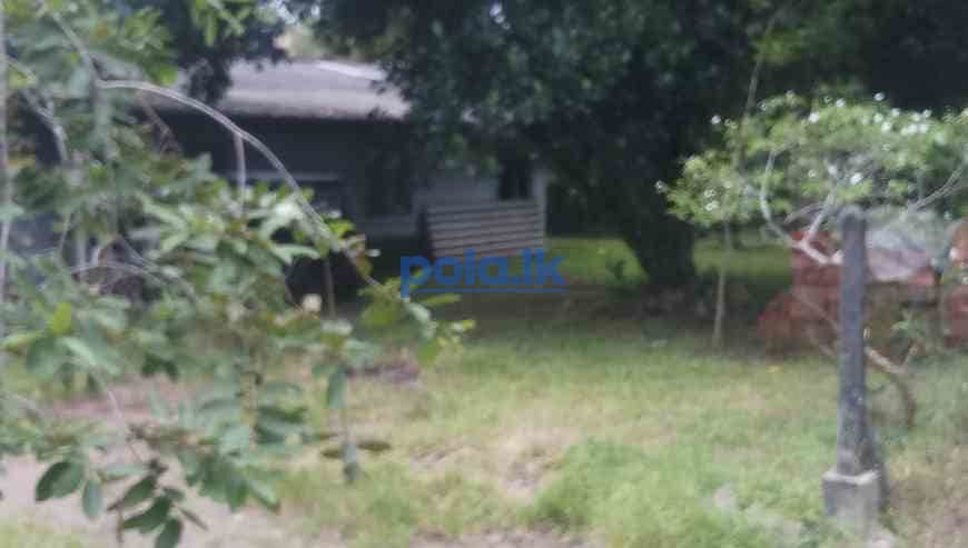 Land for sale in pannipitiya - photo 4