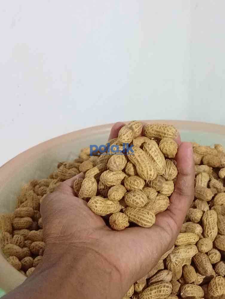 Nutrition peanuts - photo 4
