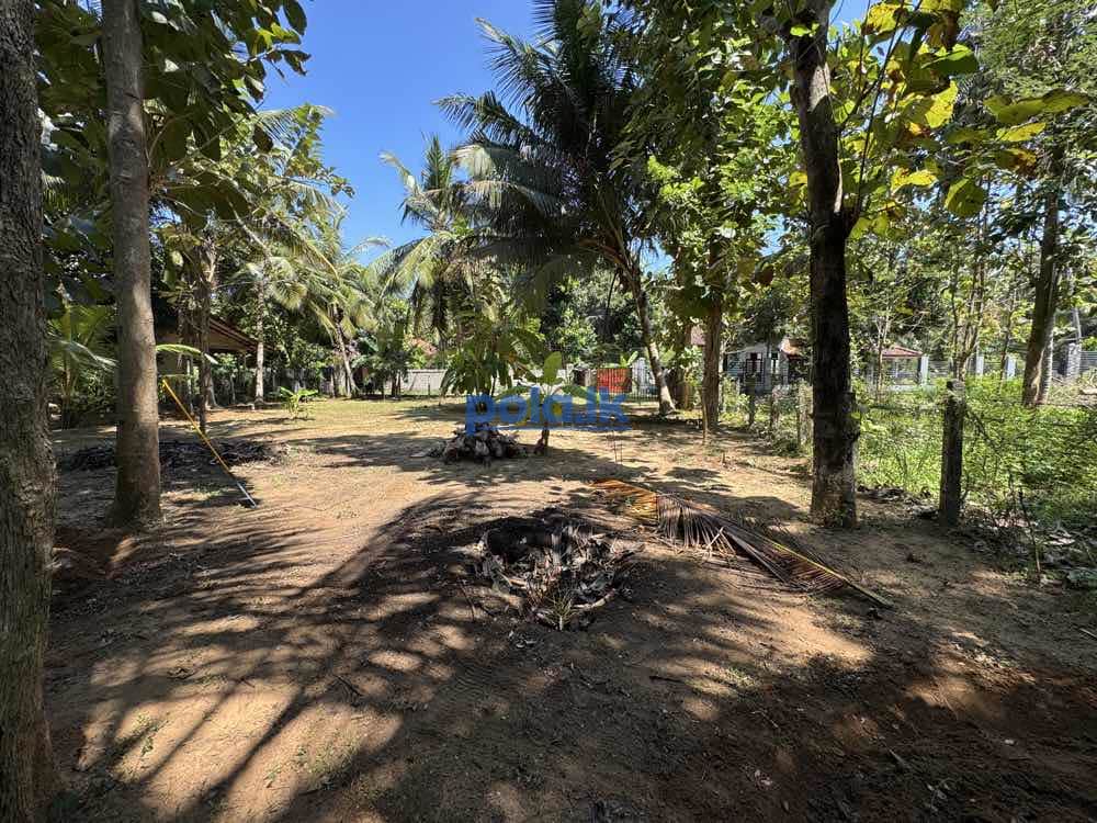 Land for sale in marawila - photo 5