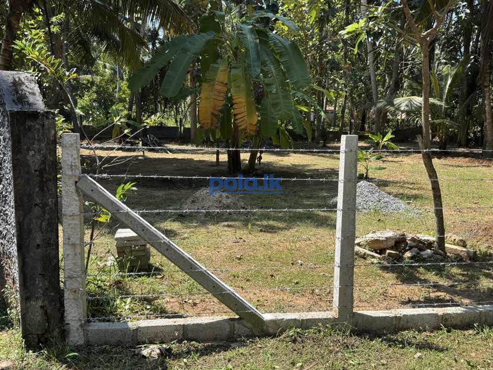 Land for sale in marawila - photo 2