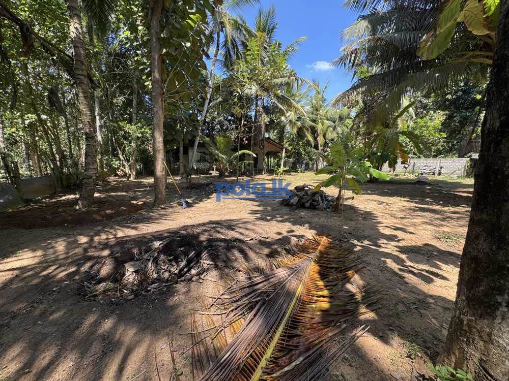 Land for sale in marawila - photo 4