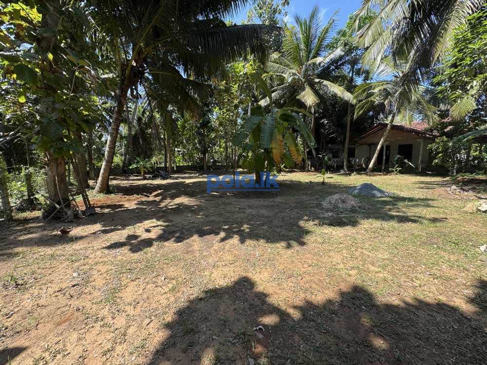 Land for sale in marawila - photo 6