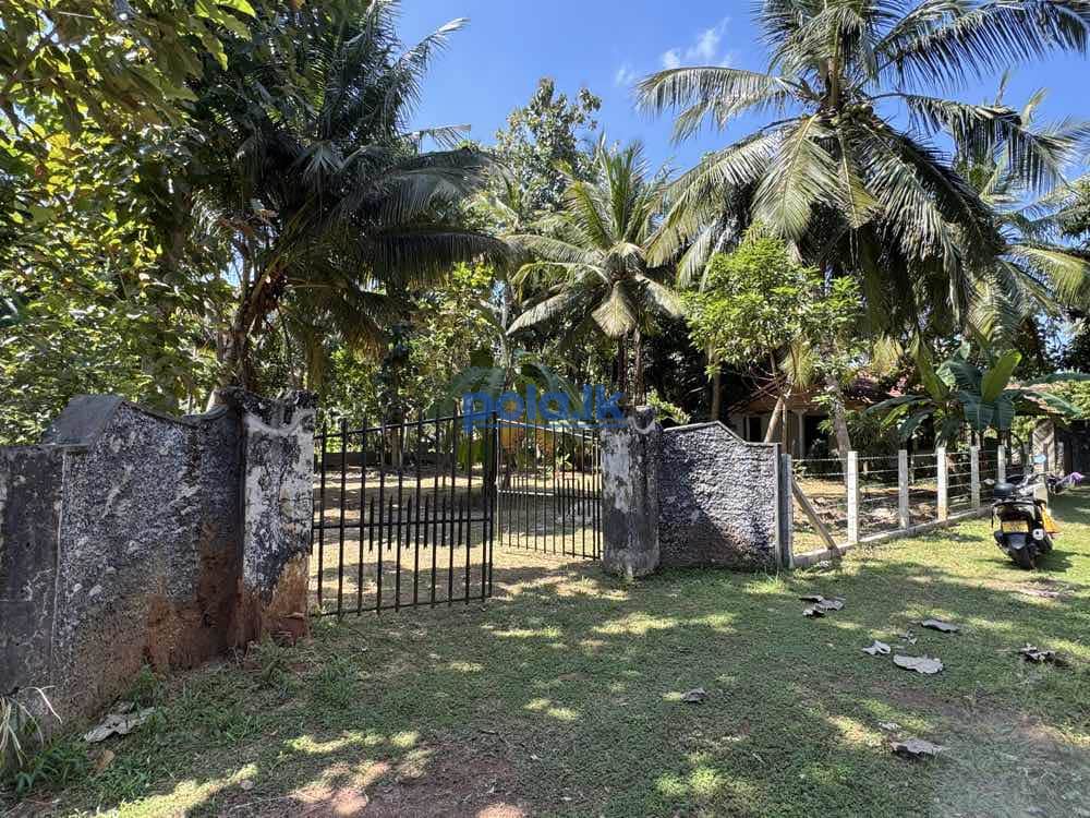 Land for sale in marawila - photo 1